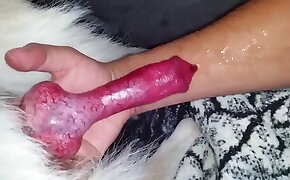 dog bestiality, sex with animals