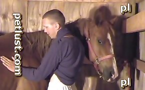 gay bestiality, sex with animals