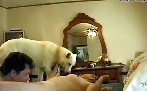 dog bestiality, sex with animals