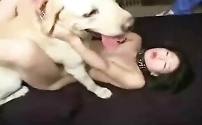 dog bestiality, fucking with animals